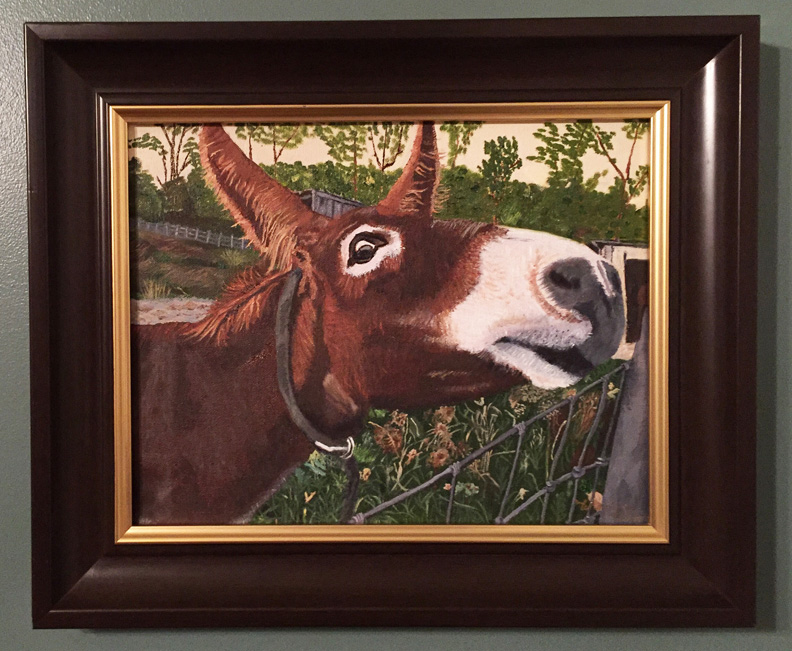 Democrat Duh Im no Jackass