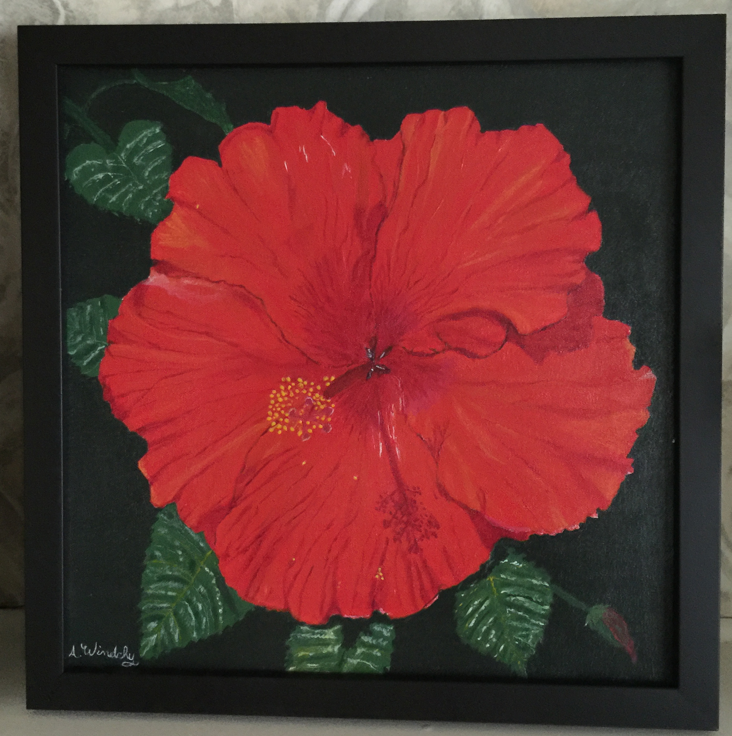 hybiscus framed 4-20-16 framed