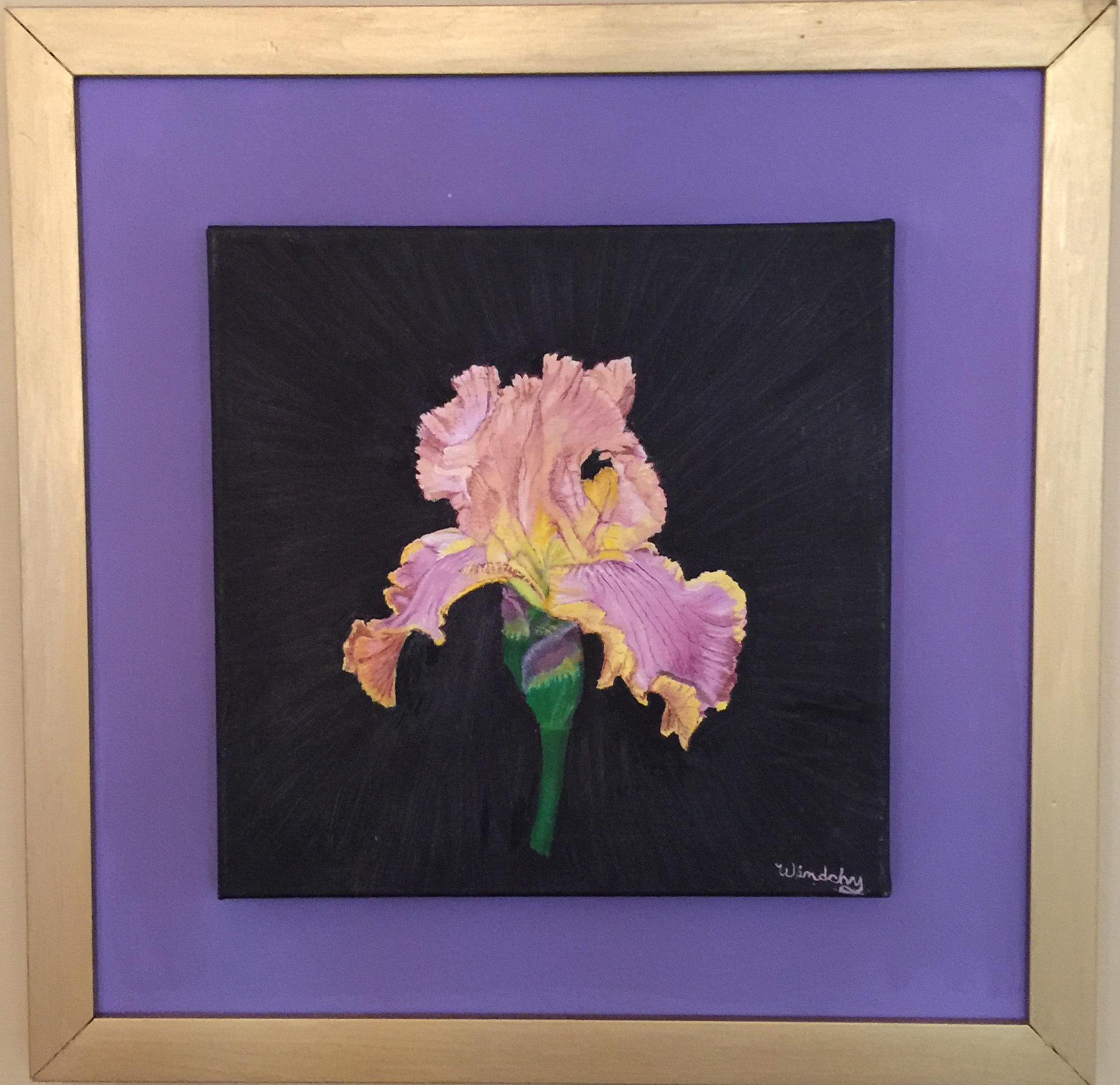Iris from My Garden 10x10 oil 19x19 framed