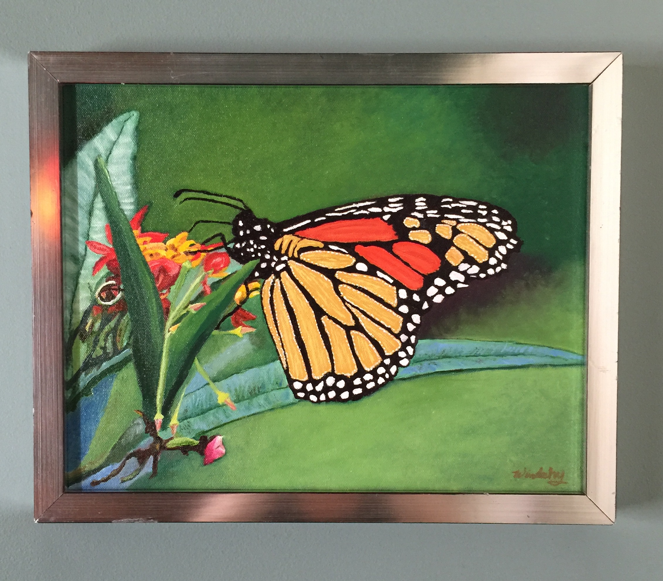 Monarch butterfly framed