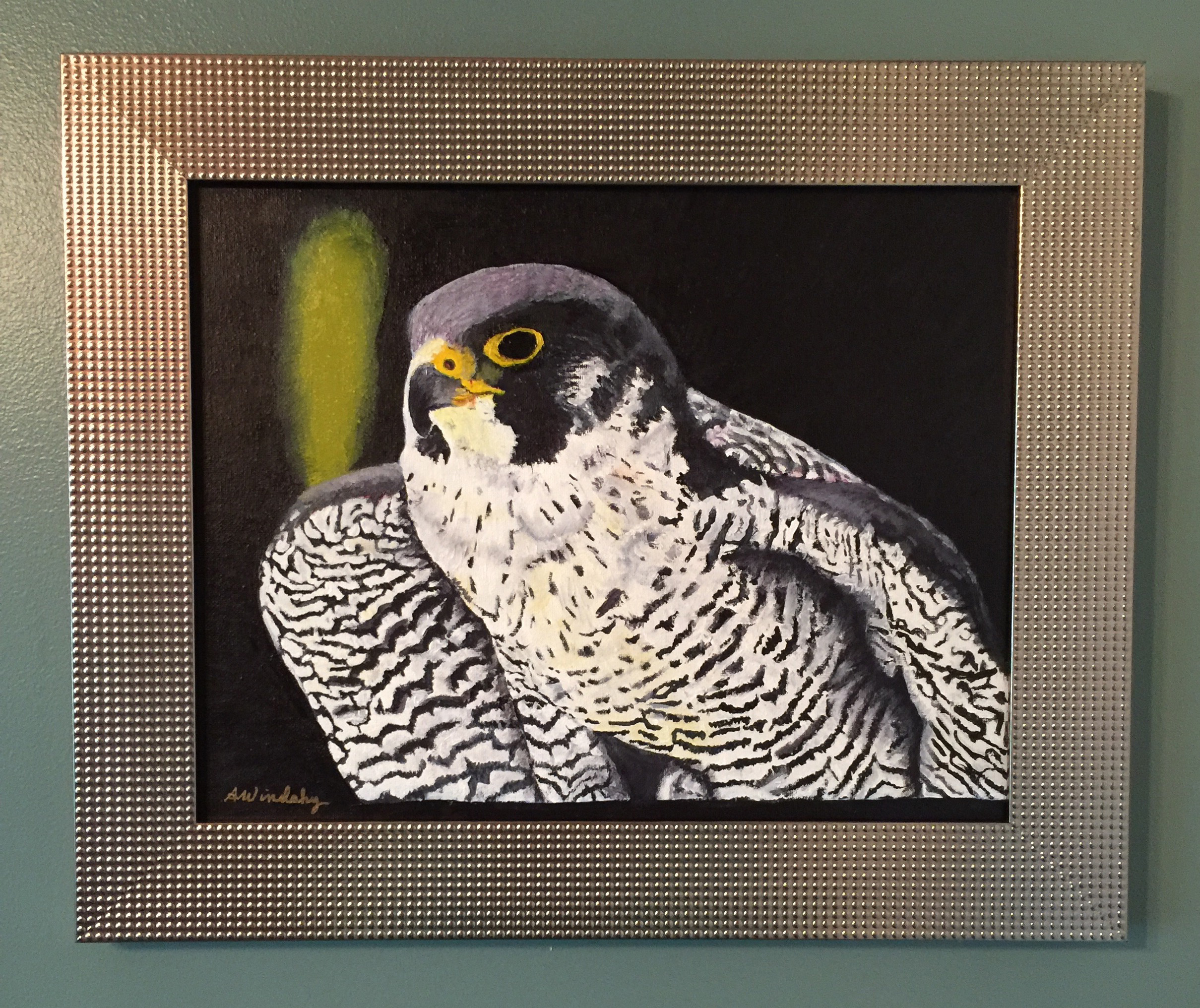 Peregrine Falcon Framed 2