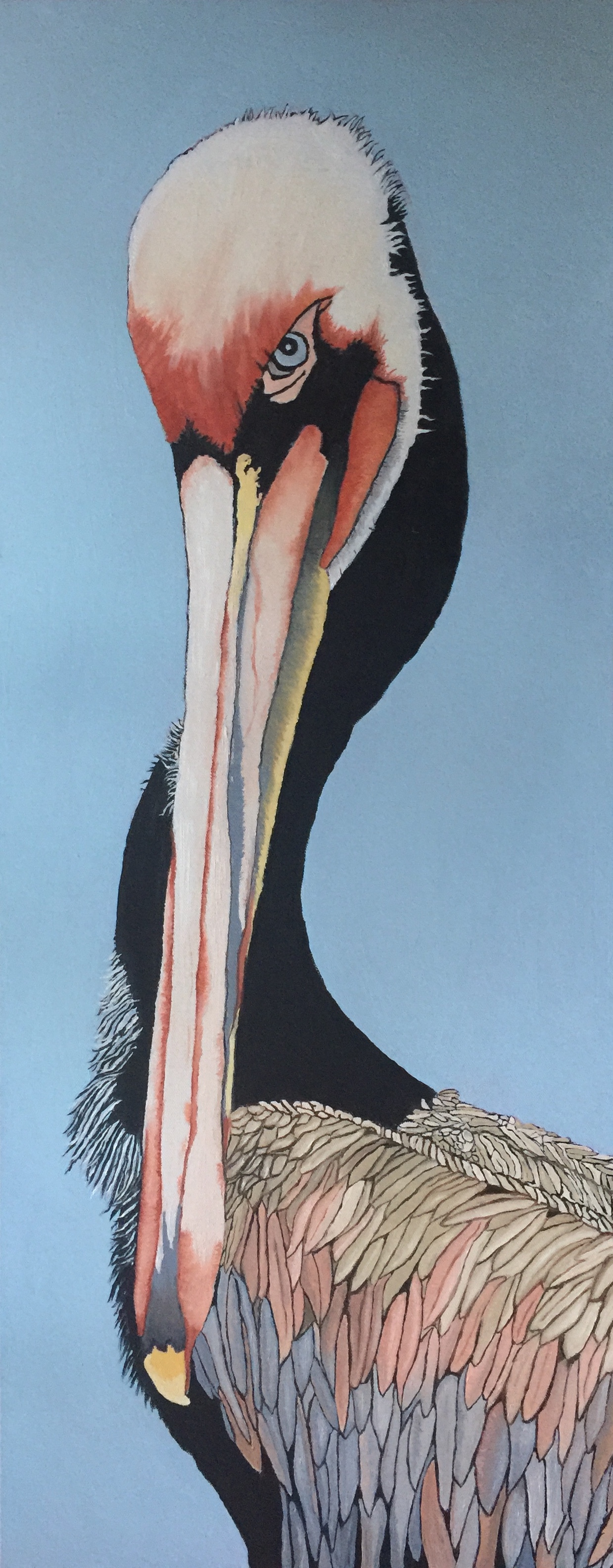 Pelican oil on Gallery wrap 16 x 40 final painting