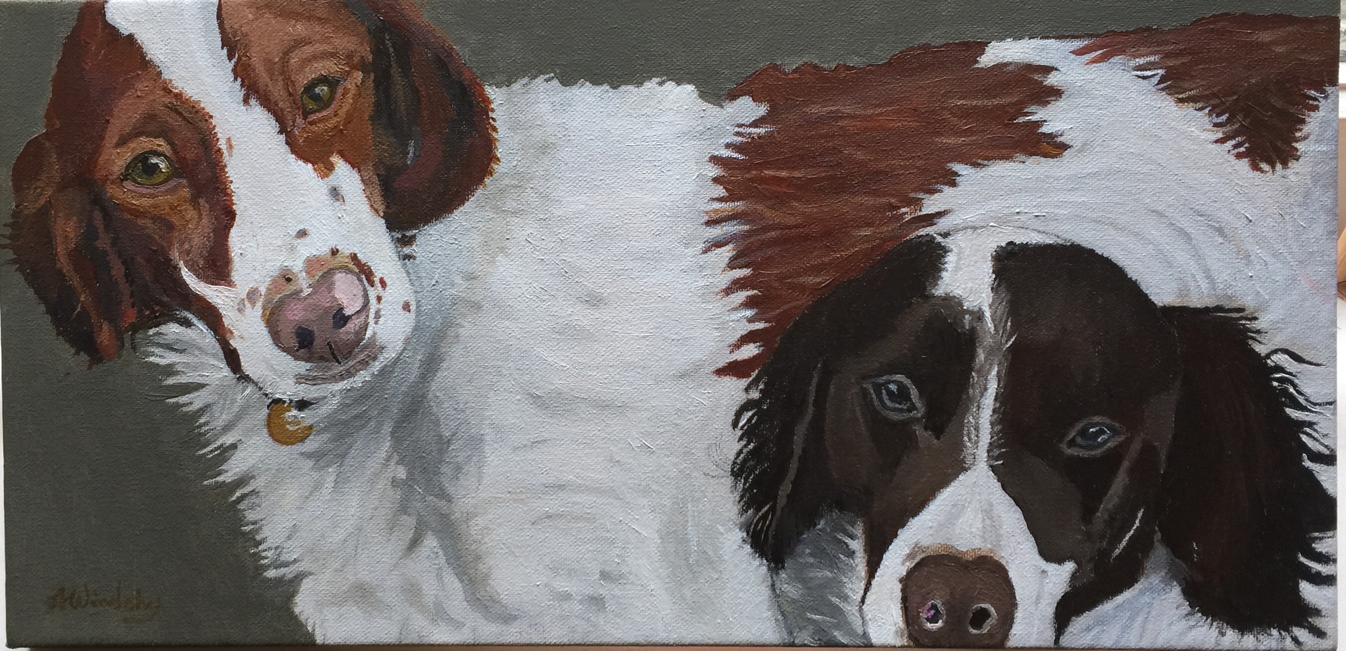 72EE468F-20CA-4729-BD16-CB7A7F1FCACB