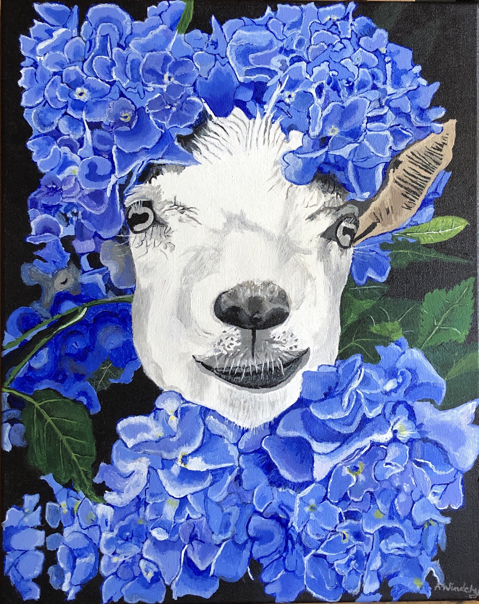 B2CC6D67-E626-44BA-800E-8E1254628314