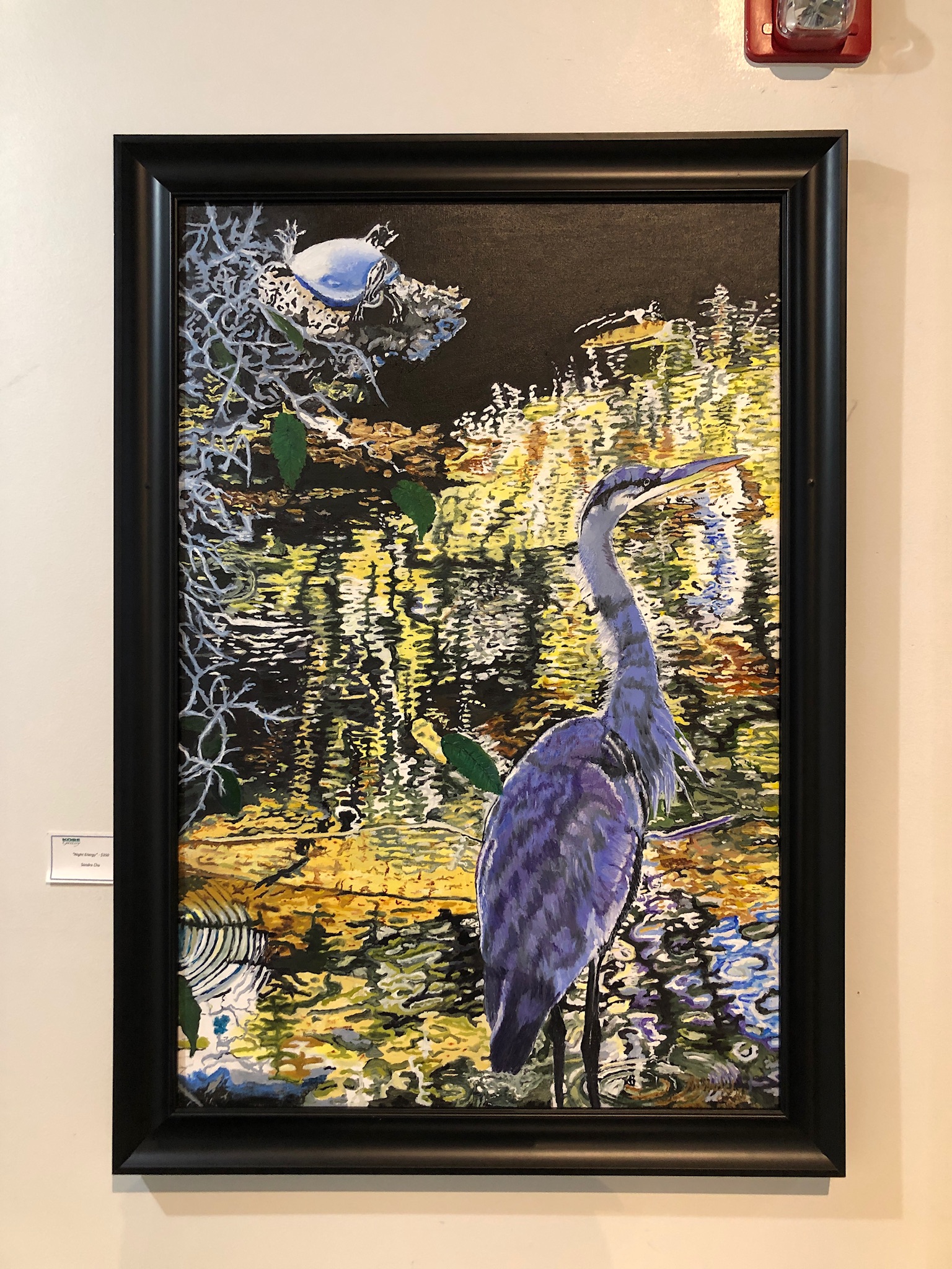 8A555DAF-81E2-408F-A3BC-7483564BCAB3