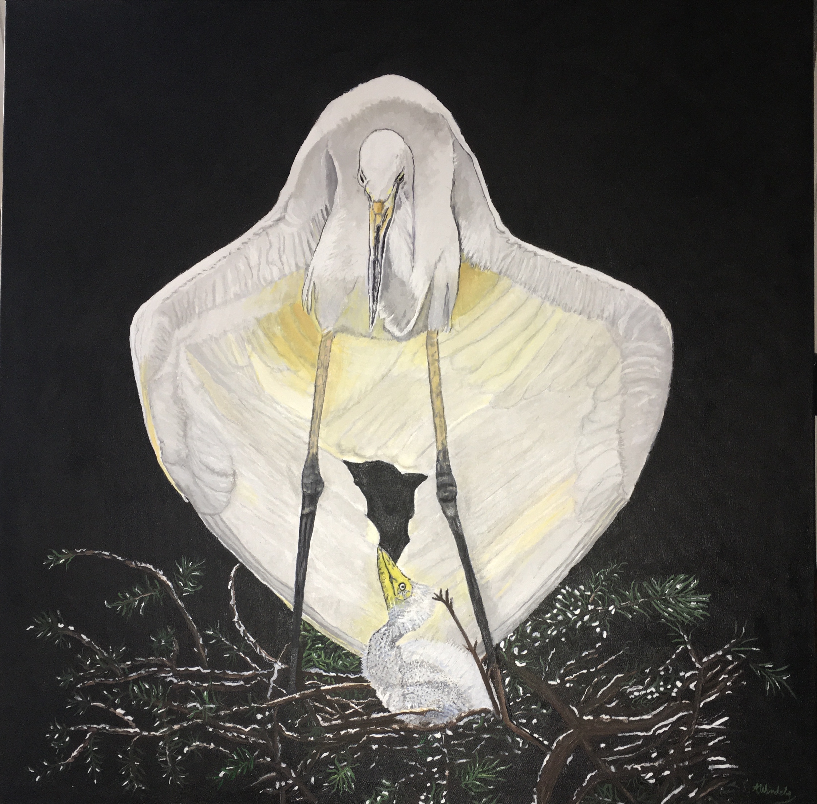 21A6BCA7-79D9-475B-98D8-1D4396293AAE