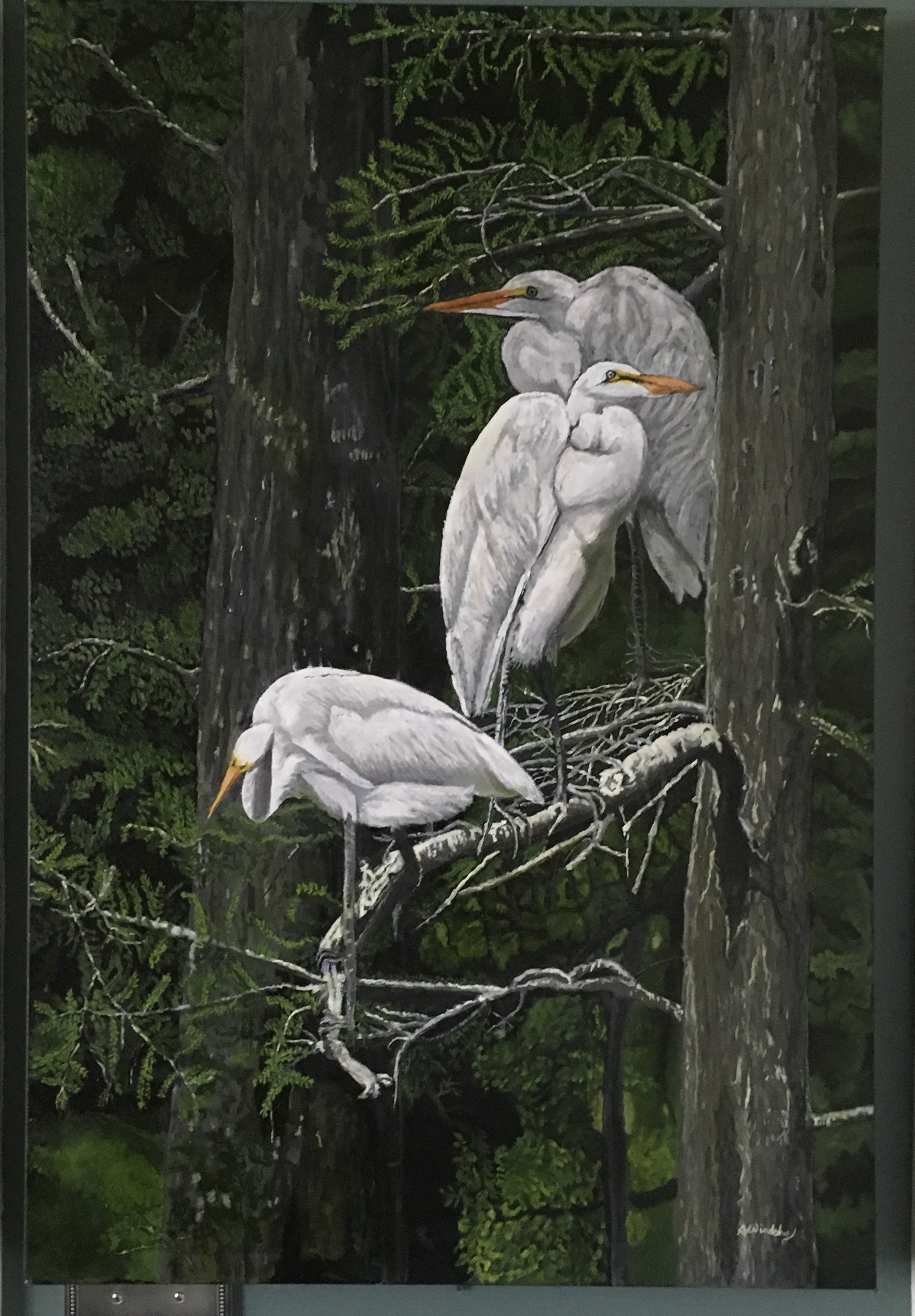 00872194-823E-4695-A6A6-FD84E46816D1